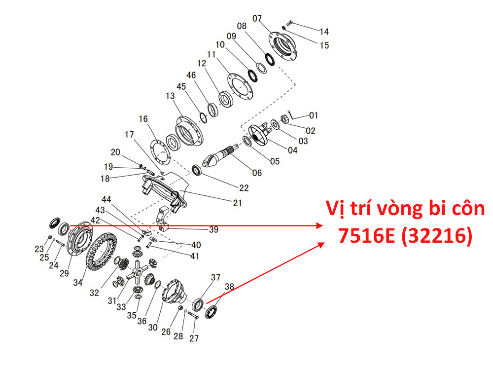 Vị Trí Vòng Bi Côn 7516E
