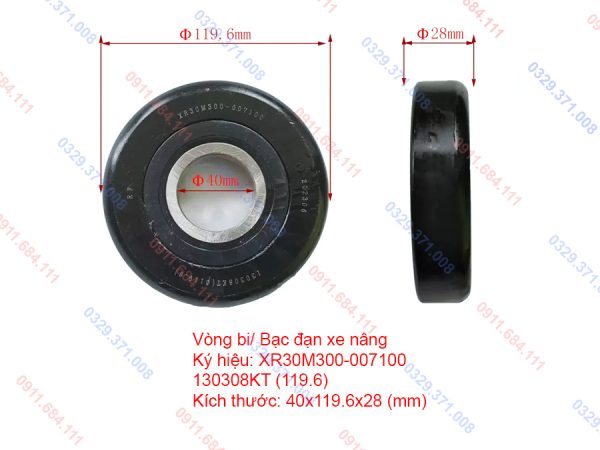 Vòng Bi Xe Nâng XR30M300-007100