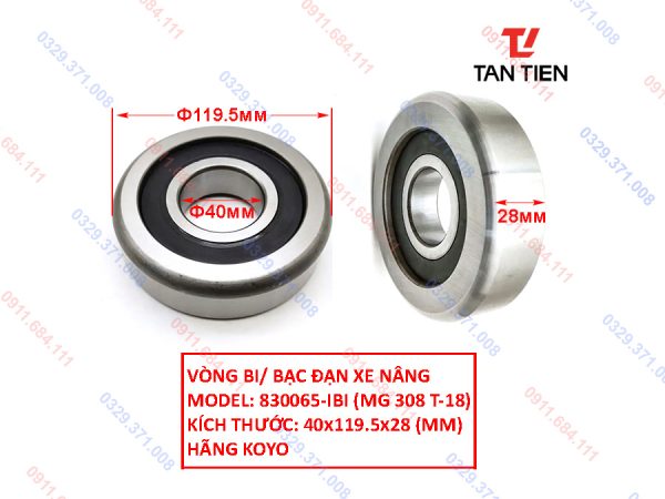 Bạc Đạn Xe Nâng 830065-IBI