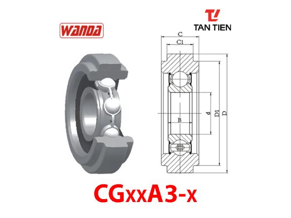 CGxxA3-x