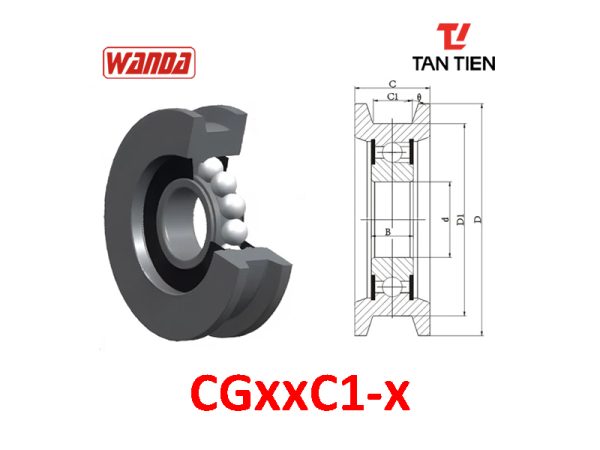 CGxxC1-x