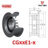 CGxxE1-x