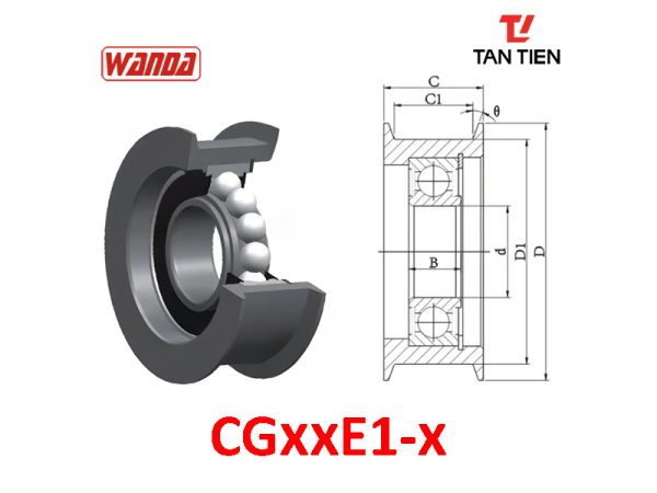 CGxxE1-x