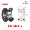 CGxxN1-x