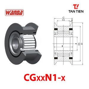 CGxxN1-x
