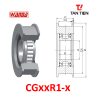 CGxxR1-x