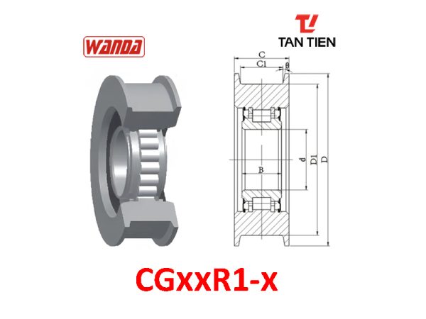 CGxxR1-x