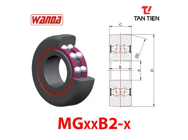 MGxxB2-x