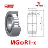 MGxxR1-x