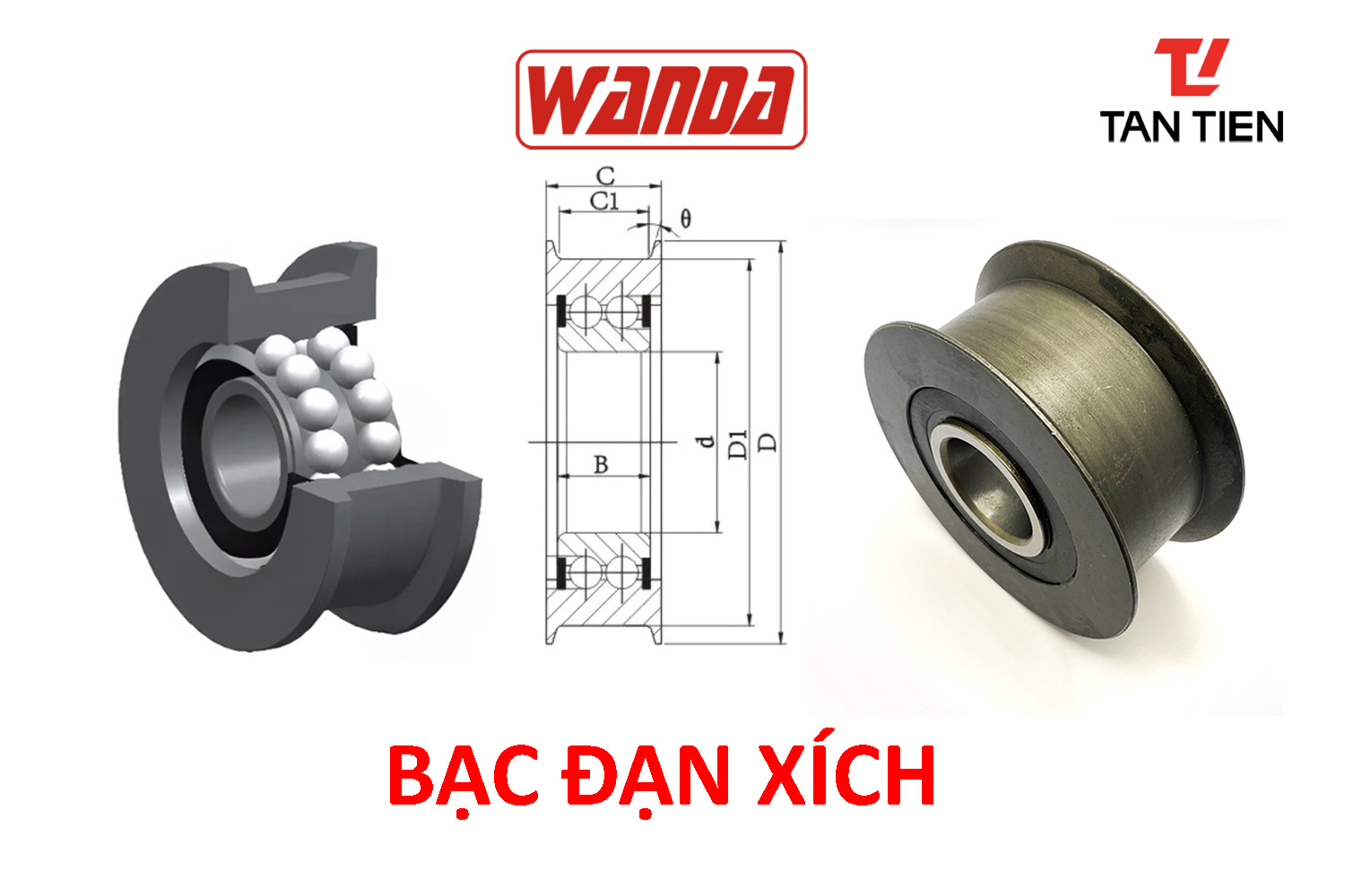 Bạc đạn Xích Wanda