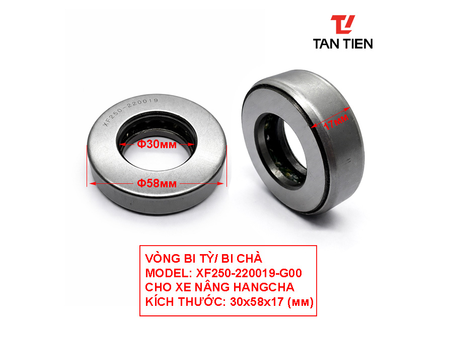 XF250-220019 XF250-220019